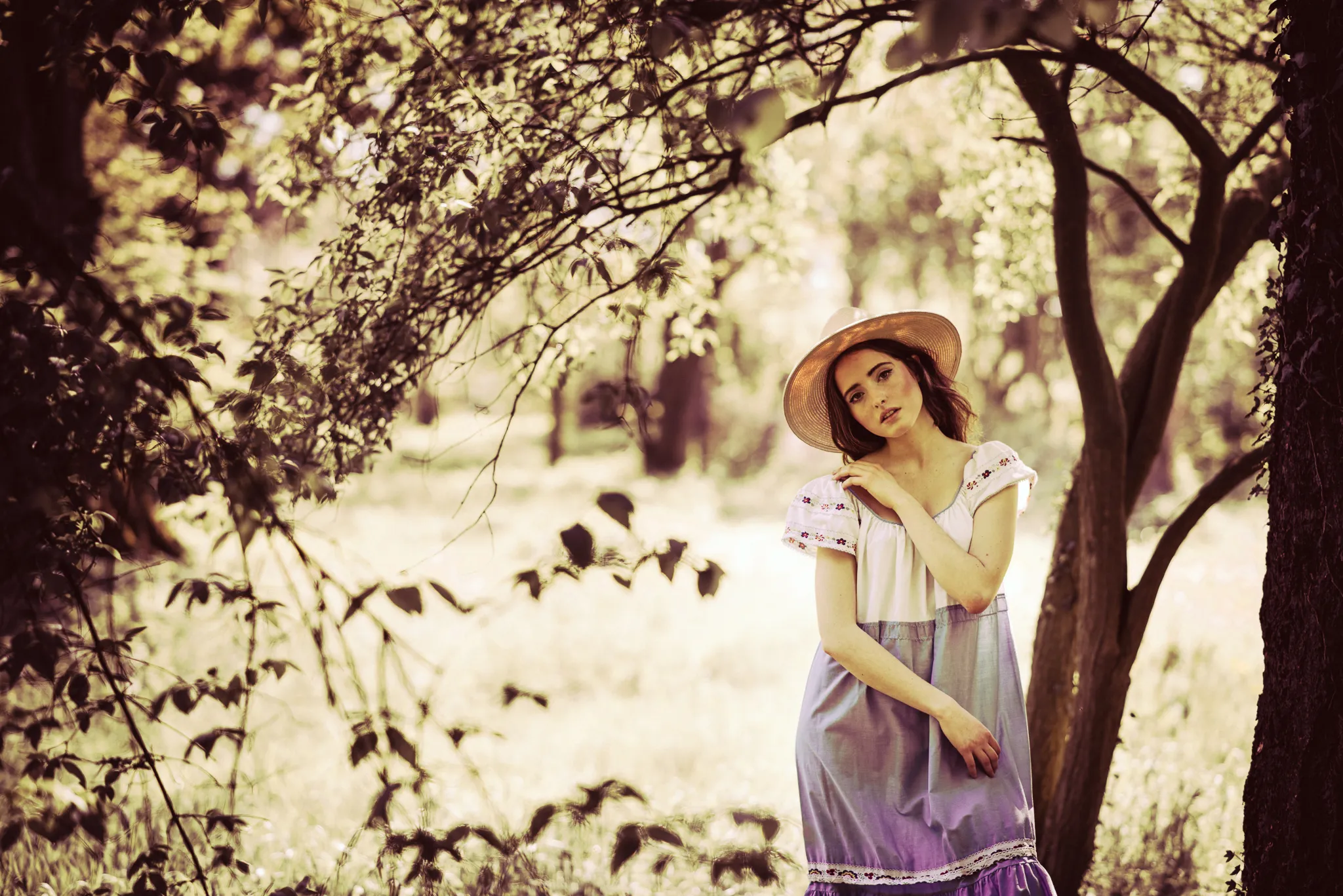 Pastoral Reverie fine art photography